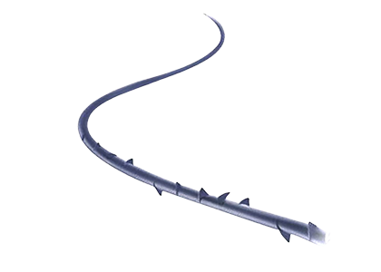 可吸收性外科縫線(xiàn)